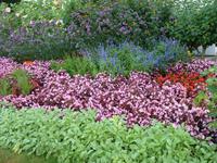 Schloßpark Ludwigsburg