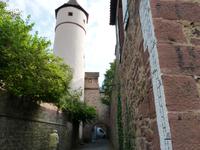 Wertheim (9)