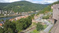 Blick vom Heidelberger Schloß