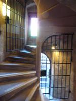 Heidelberger Schloß (4)