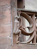 Affe in Wertheim