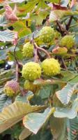 Der Herbst zeigt sich schon