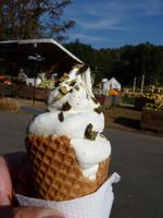 Kürbiseis