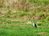 am Neckar (2)