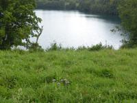 Blick auf das Weinfelder Maar (2)