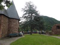 Dioe Gäste lauschen den interessanten Erläuterungen auf der Henneburg