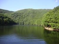 Obersee
