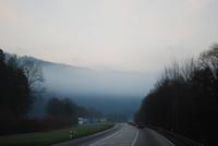 027. Schwarzwald am Morgen