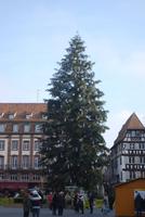 045. Weihnachtsbaum Straßburg