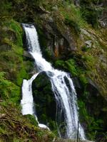 Triberger Wasserfälle