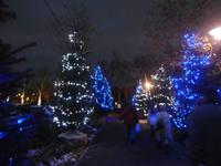 Colmar erstrahlt im Lichterglanz