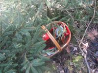 Ostersonntag, eine Überraschung für uns