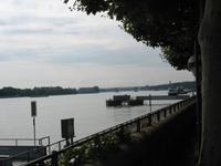 Rheinpromenade Mainz