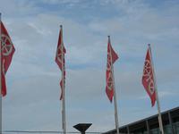 Fahnen am Mainzer Rathaus