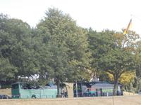 DSCN1773 unsere Busse in Bremen