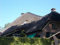 DSCN1937  Kameldächer