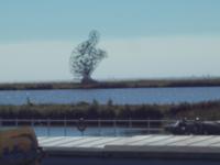 DSCN1958 Kunst auf dem Kanal