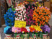 DSCN2027 Blumenmarkt