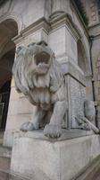 Löwe am Eingang des Rathauses in Hannover