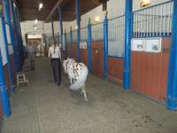 DSCN1749