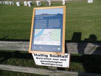 Hallig Südfall auf der Halbinsel Nordstrand