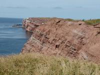 Steilküste Helgoland + Lange Anna