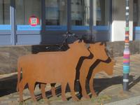 Husum-Stadtführung-