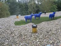 Husum-ein Blick auf das Hoteldach