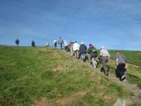 Insel Föhr-Inselrundfahrt
