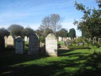 Insel Föhr-Inselrundfahrt