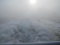 Hallige Hooge- die Fahrt von Nordstrand zur Halligen