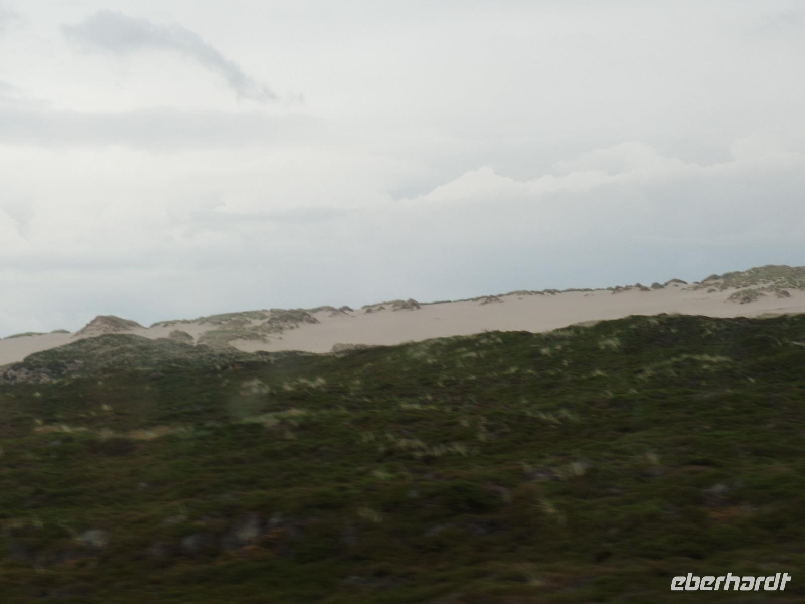 Wanderdünen Insel Sylt