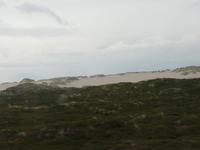 Wanderdünen Insel Sylt