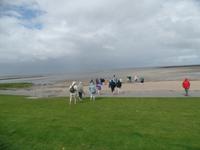 ... zur Wattwanderung