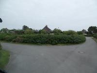 auf der Insel Föhr