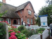 Königspesel auf Hallig Hooge