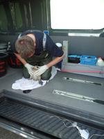 ... verwaistes Robben-Baby