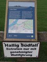 Wattwanderung Hallig Südfall