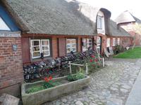 angespültes Strandgut auf der Hallig