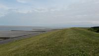 Deich auf Föhr