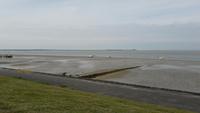 Ebbe zwischen Föhr und Amrum