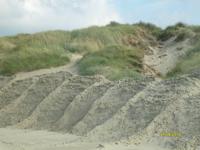 Sandbänke Insel Römö