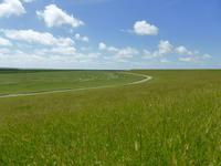 Blick vom Deich in die Salzwiesen 