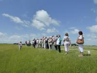 Blick vom Deich in die Salzwiesen 