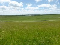 Blick vom Deich in die Salzwiesen 