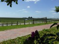 Hallig Hooge - Blick zur Kirchwarft