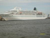 Kreuzfahrtterminal in der Hafen City