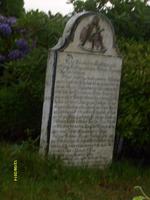 Friedhof Nieblum + die sprechenden Steine