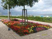 an der Strandpromenade