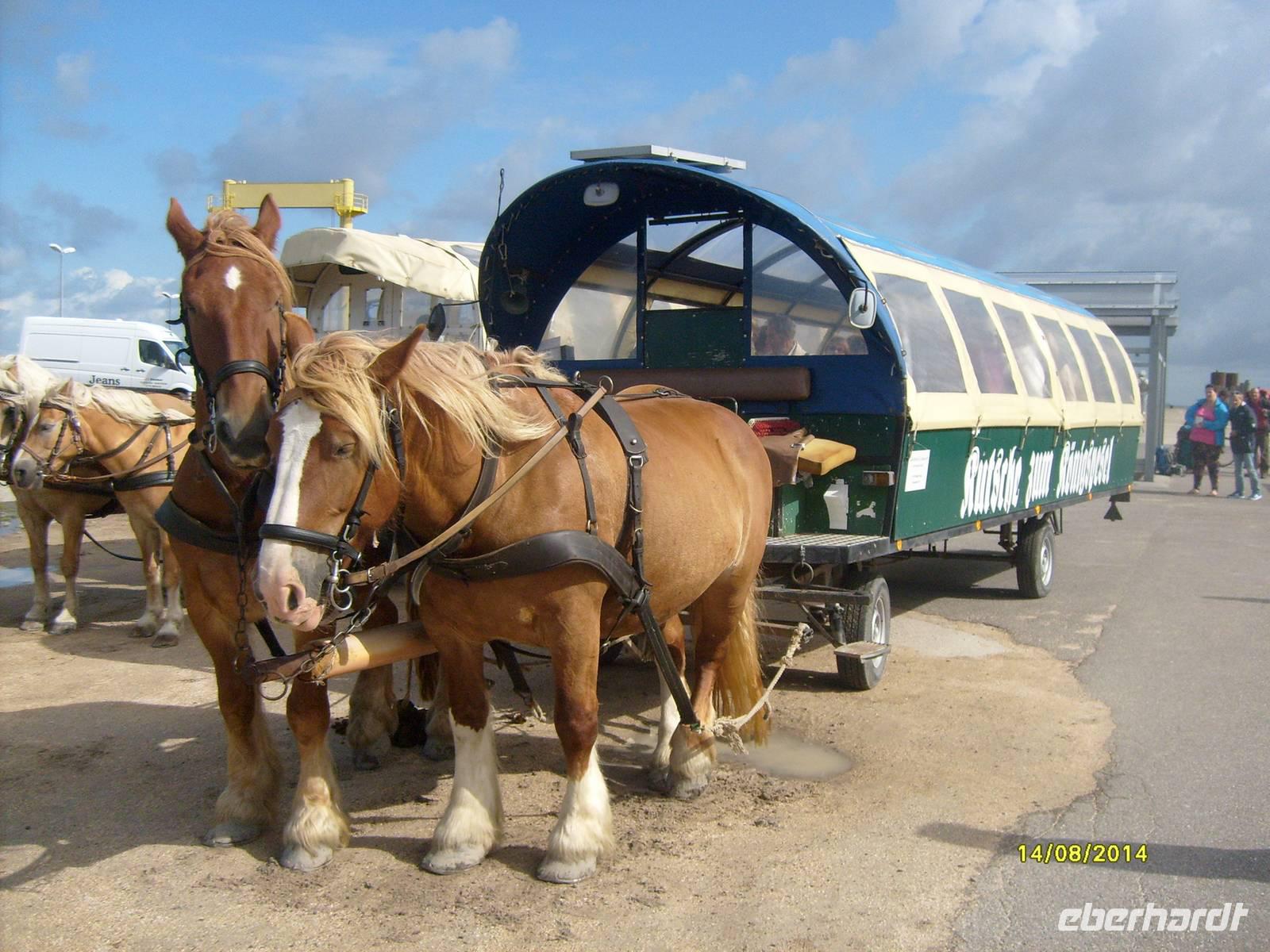 unsere Kutsche auf der Hallig
